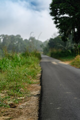 An empty small asphalt road in the village surrouinded by the green bushes. Selective focus.