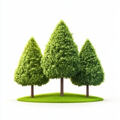 Lush Green Trees on Vibrant Grass Patch