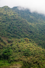 Fototapeta premium Stunning tropical mountain in the jungle covered with green vegetation surrounded by mist, Chapare Bolivia