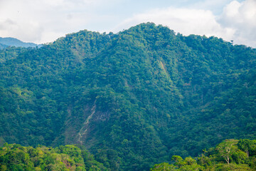 Fototapeta premium Stunning tropical mountain in the jungle covered with green vegetation surrounded by mist, Chapare Bolivia