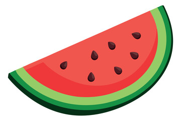 Slice of watermelon with seeds vector illustration and vibrant colors