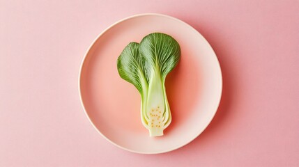 A soft peach plate with a single piece of bok choy, pastel color theme, highresolution food...