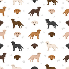 Border Collie Labrador Retriever mix. Borador seamless pattern. Different coat colors set.  Vector illustration