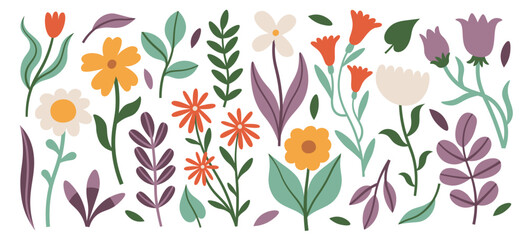 Garden flowers bloom, wildflowers, plant and grass stem with leaves abstract isolated floral set © Mykola Syvak