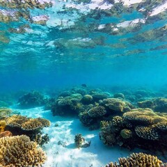 Long shot looking up through the surface of a vibrant coral reef, with sunlight filtering down and illuminating schools of fish swimming above, captured in soft focus to enhance the serene underwater 