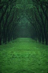 A serene green forest path surrounded by lush trees, creating a tranquil and peaceful atmosphere perfect for nature enthusiasts.