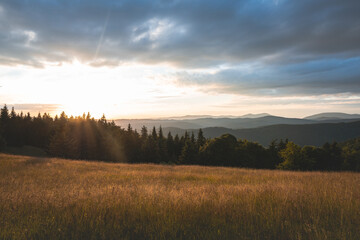 Serene sunset over rolling hills and fields with a backdrop of evergreen forests. A tranquil moment capturing the golden glow of nature in a peaceful, scenic landscape