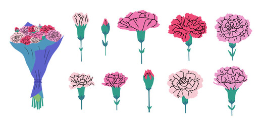 Cartoon Color Different Carnation Set Symbol of Mothers Day Concept Flat Design Style Include of Bouquet and Bud. Vector illustration