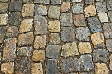 Obraz premium Textured Cobblestone Pavement with Natural Earth Tones