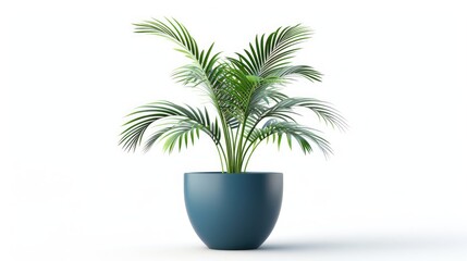 Obraz premium 3D illustration concept of house plants in modern pots, isolated on white background.
