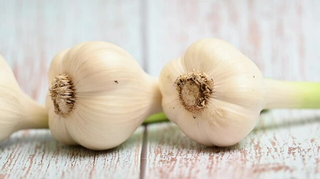 young garlic heads close up