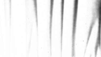 Dust and scratches texture background PNG transparent. Opacity or screen mode usage for overlay images