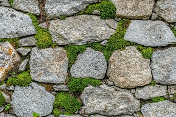 Obraz premium Weathered Stone Wall Overgrown with Lush Green Moss