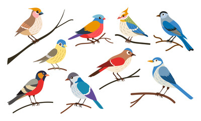 A group of colorful birds are perched on a branch. The birds are of various sizes and colors, including blue, red, yellow, and green. The scene is peaceful and serene