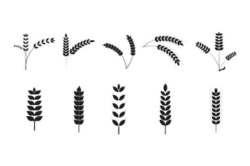 set of Wheat ears icon. Wheat and Rice icon. wheat with ears icon. vector illustration.