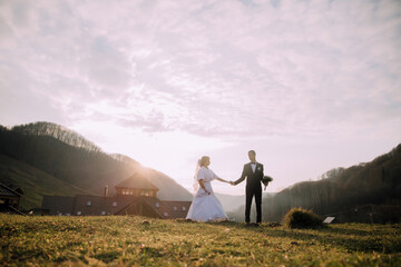 Fototapeta premium A bride and groom stand in a field with a beautiful view of the mountains in the background. The bride is wearing a white dress and the groom is wearing a suit. They are holding hands and smiling