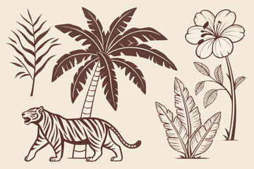 Retro Hand-Drawn Tropical Summer Shape Set with Jungle Nature Illustrations and Vintage Exotic Clip Art