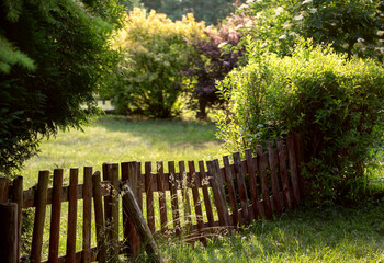 fence in the garden
