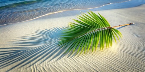Obraz premium A single palm frond casts its shadow on the pristine white sand of a tropical beach, a delicate dance of light and nature.