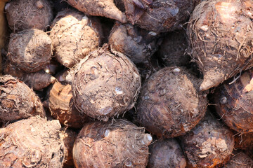 background of coconut