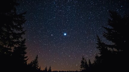 Naklejka premium A serene night sky filled with twinkling stars, with a prominent Christmas star shining brightly in the center.