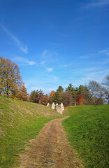 Landscape with trees, Slobodiste Krusevac - Serbia