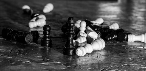 chess knight and chess