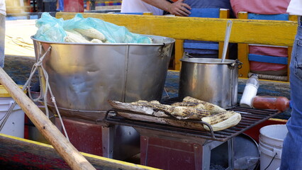 Color and Tradition: A Ride on Xochimilco's Trajineras