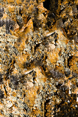 Texture of dark golden crumpled foil close-up