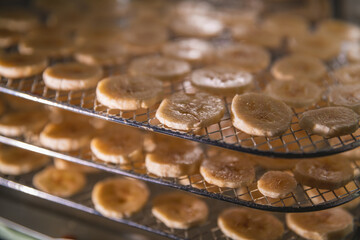 Sliced bananas are drying on metal trays inside a food dehydrator. Making healthy snacks at home with modern kitchen appliances