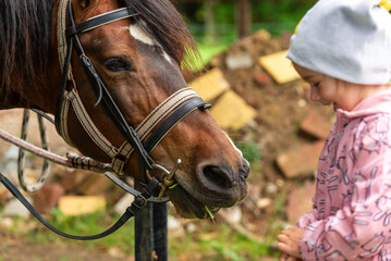 Fototapeta premium Happy child with a Horse outdoors
