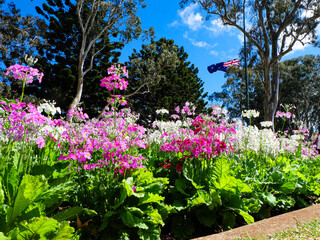 Public Park and Toowoomba Carnival of Flowers