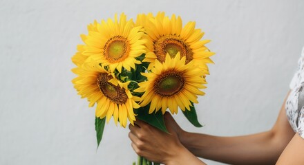 Vibrant sunflower bouquet held person neutral background