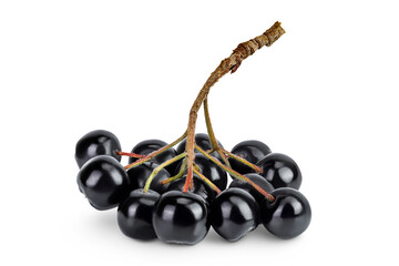Chokeberry with leaf isolated on white background. Black aronia.