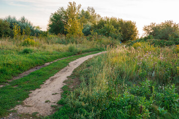 Obraz premium A rural path through the grass in summer.