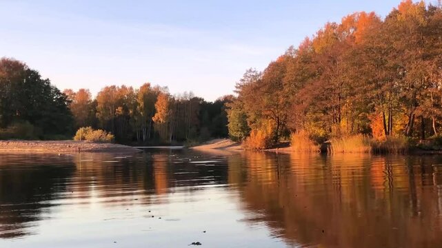 beautiful autumn landscape with yellow trees