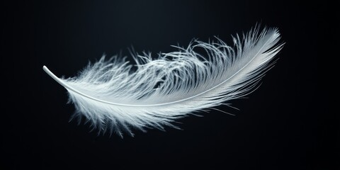 Obraz premium Delicate abstract white feather gracefully floating in the air, capturing the essence of lightness and tranquility, embodying the ethereal beauty of abstract white feather in motion.