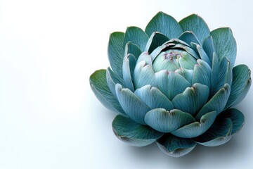 Obraz premium Whole artichoke with vibrant green leaves stands out against a clean background