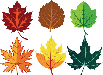 Vector Silhouette Icon Set of Maple Leaves in Autumn Colors on White Background