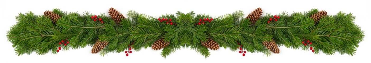 christmas fir banner on white background