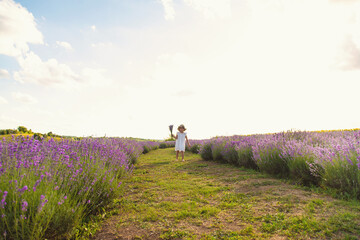 Fototapeta premium Child girl in lavender field. Selective focus.