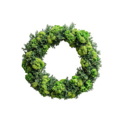 Lush Green Moss Wreath - Circular Floral Decoration