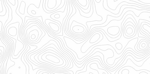 Vector geography landscape Topo contour map on white background, Topographic contour lines. Seamless pattern with lines Topographic map. Geographic mountain relief diagram line wave carve pattern