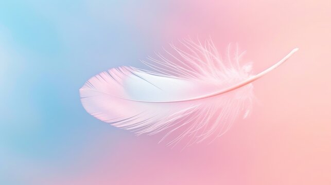 A single white feather against a soft pink and blue gradient background.