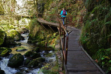 Wandern in der Ravennaschlucht im Südschwarzwald, Baden Württemberg, Deutschland