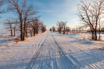 winter landscape with snow