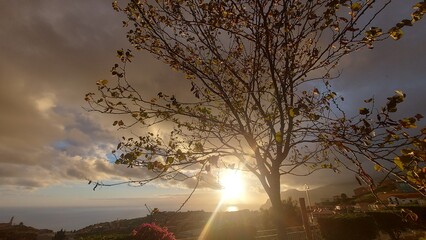 Sky, clouds, orange, yellow, blue, nature, outdoor, outside, island, beach, coastline, coast, landscape, rock, mountain, cliff, relax, peace, paradise, madeira island, island, tree