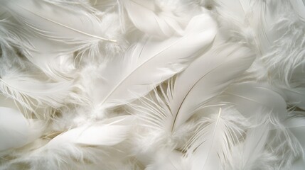 Obraz premium A Close-Up View of Soft, White Feathers Arranged in a Cluster