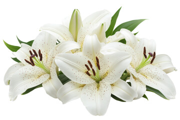 White lilies bloom gracefully in a vibrant garden during the warm spring season