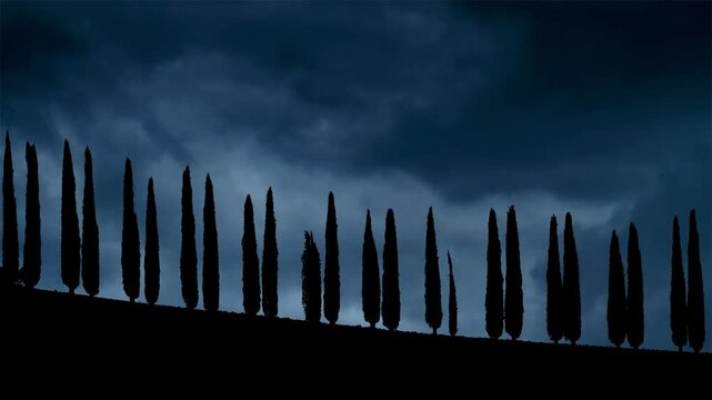 Thunderstorm and Lightning flash over a road bordered by a line of cypress trees in the Tuscan Landscape